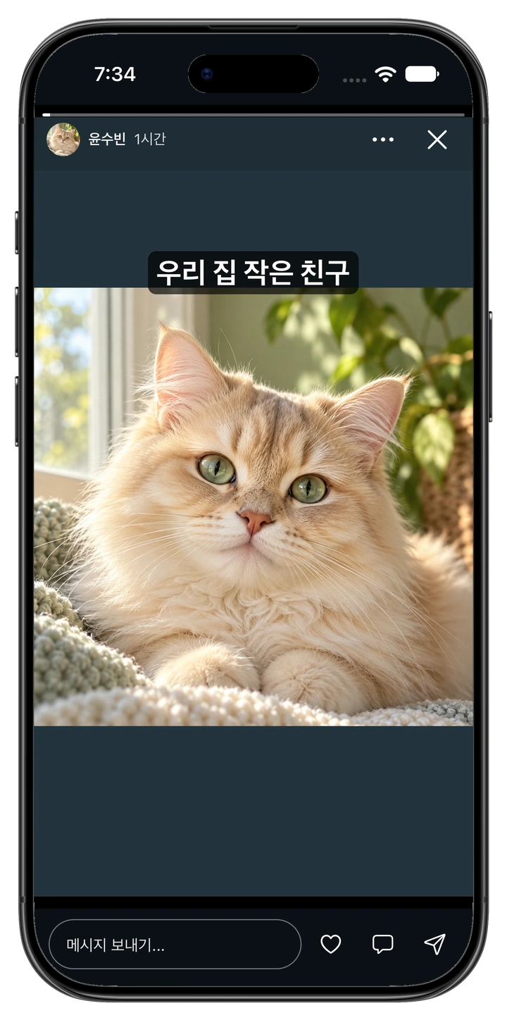 반려동물 사진과 문구를 담은 실제 스토리